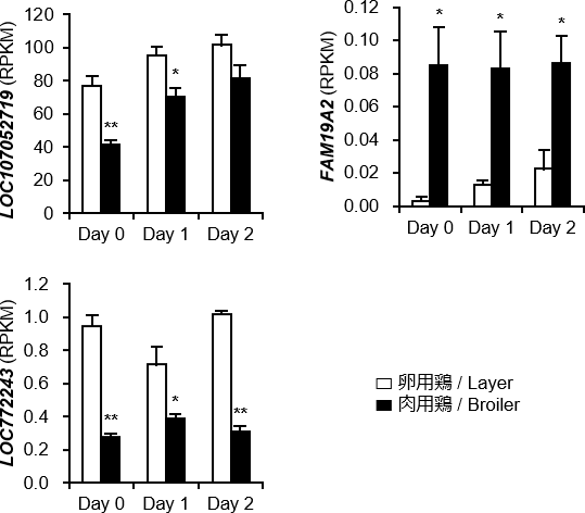 BrK 近傍遺伝子の発現 / Expression of BrK-neighboring genes