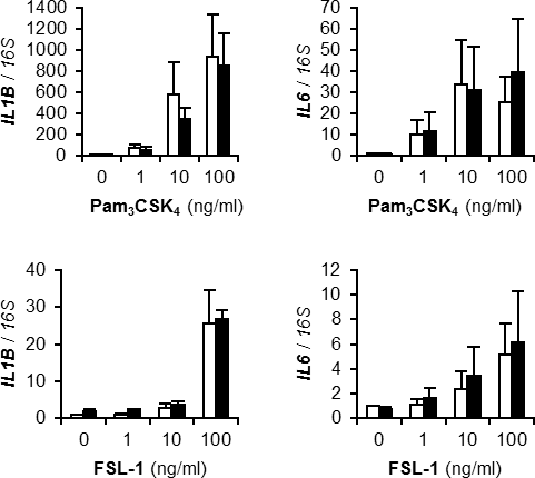 TLR リガンド依存的な炎症反応 / TLR ligand-dependent inflammatory responses