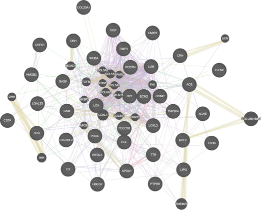 同定した遺伝子群のクラスター解析 / Cluster analysis of the identified genes