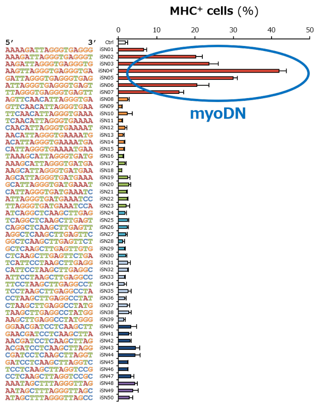 乳酸菌 ODN のスクリーニング結果 / Screening results of bacterial ODNs